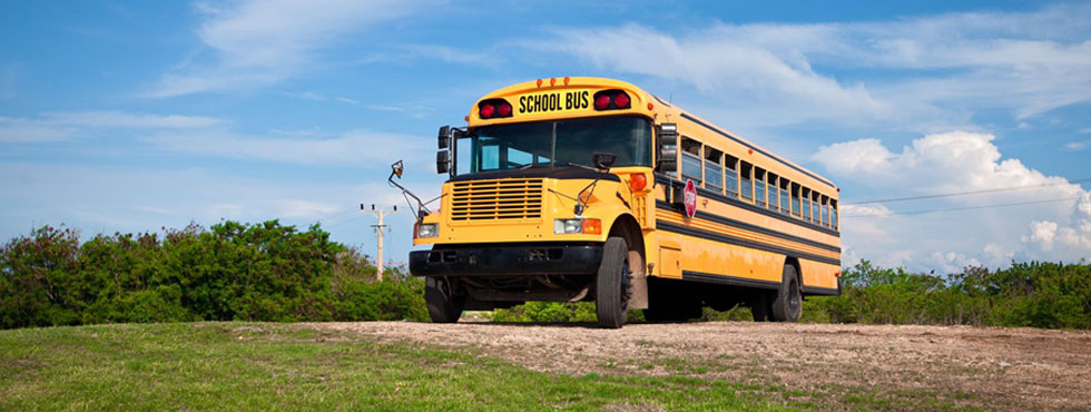 Top-image-template4 Yellow American School Busn